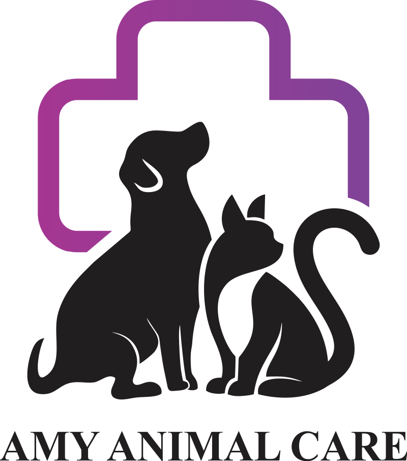 Amy Animal Care 1 st